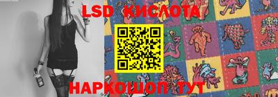 прущие грибы Волгодонск