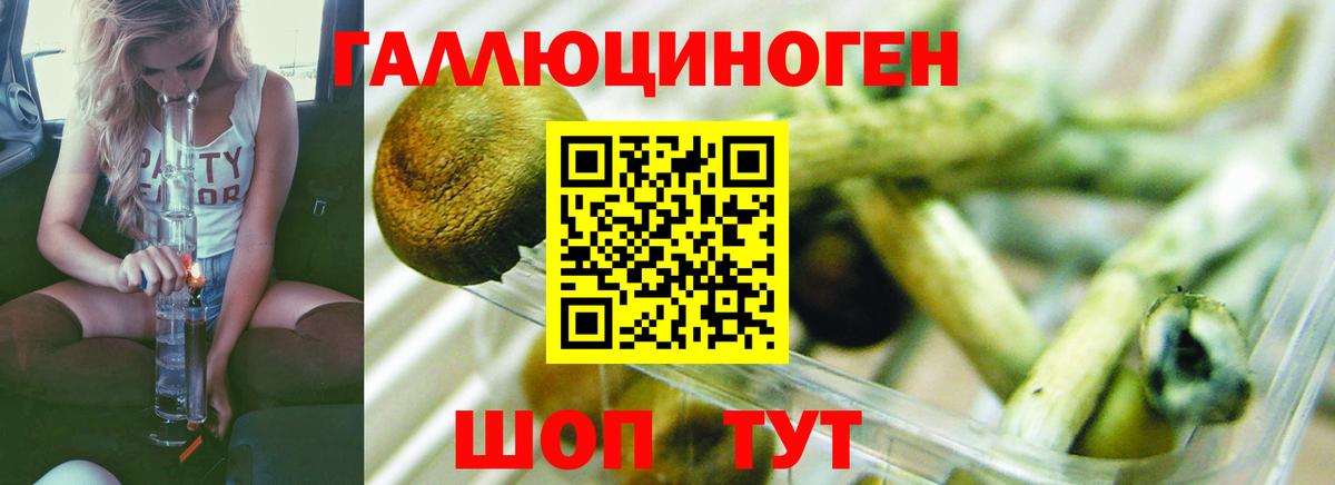Псилоцибиновые грибы MAGIC MUSHROOMS  купить наркотики цена  Джанкой  Вход с VPN 